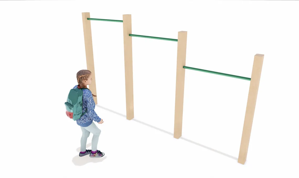 Chin Up Bars image